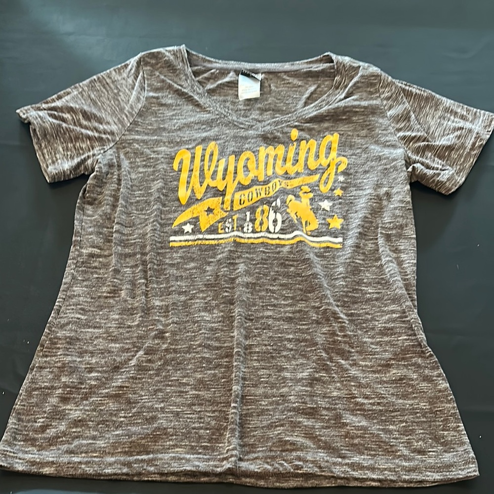 Wyoming Cowboy Graphic V Neck Tee - Brown
